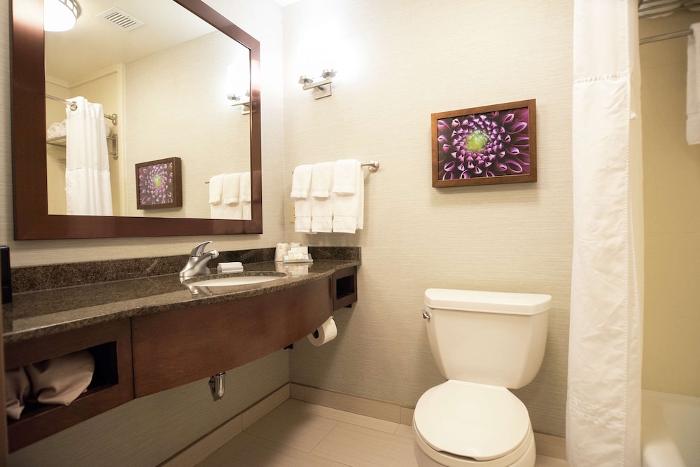Hilton Garden Inn Covington - photo 30