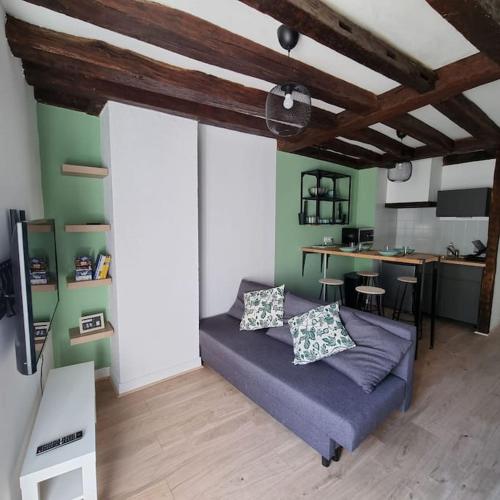 Au Perchoir Duplex Dans Le Centre Historique in Orleans, France