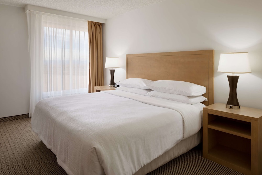 Embassy Suites by Hilton Denver International Airport - photo 17