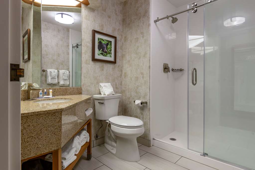 Comfort Inn Missoula North Shopping District - photo 18