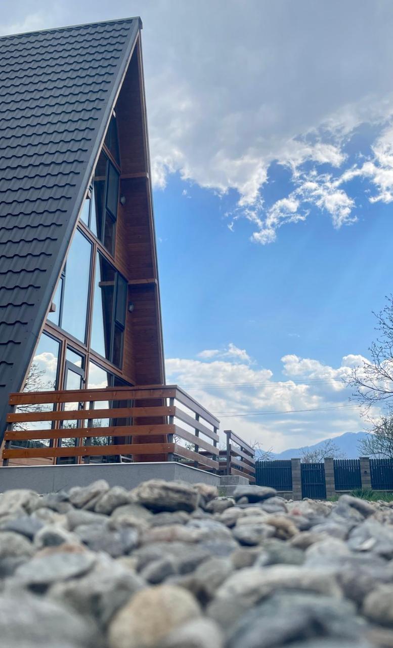 Hidden Cabin — Brezoi — photo 2