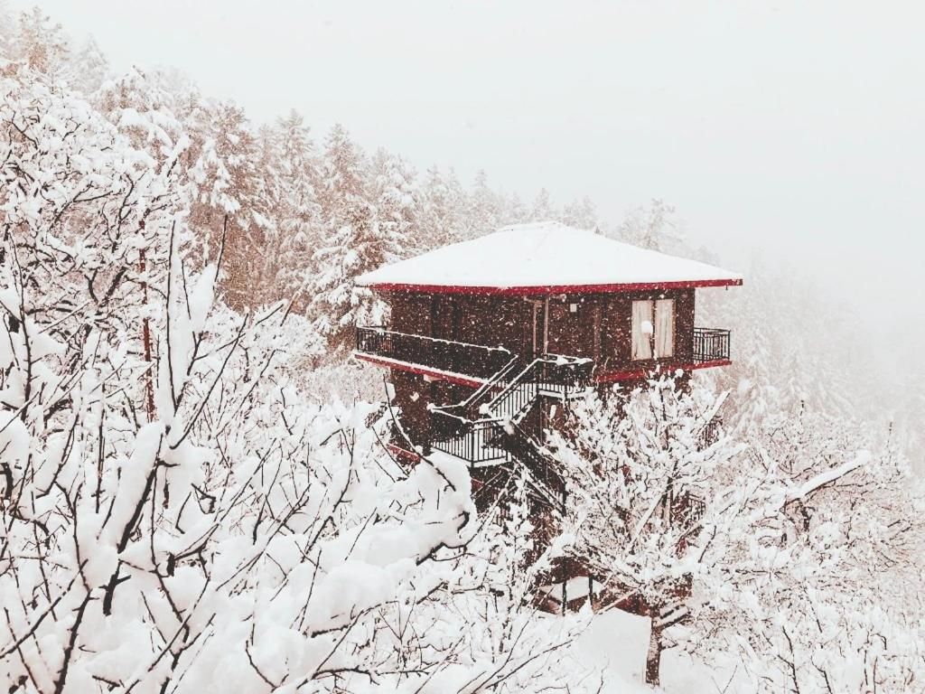 Aaramgah — 4-Star Luxury Hotel in Shimla, India