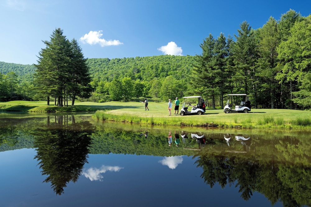 Allegheny Springs - photo 42