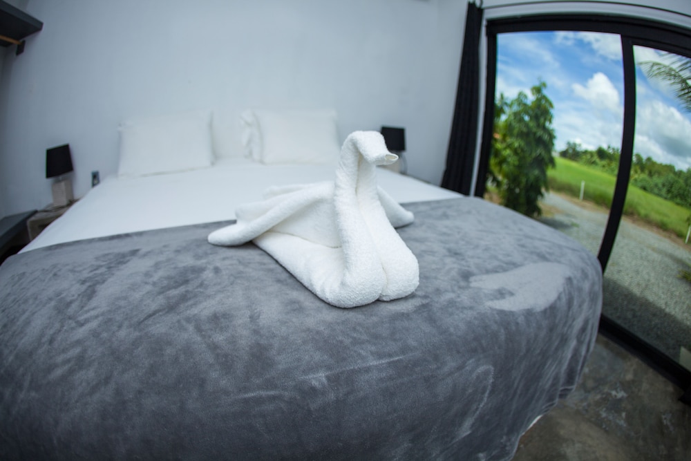 Show Pony Ranchero Resort Boutique Beach Hotel — Las Lajas — photo 3