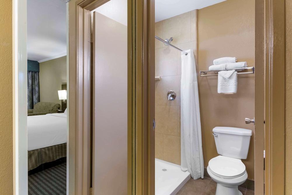 Royal Sun Hotel & Suites - photo 22