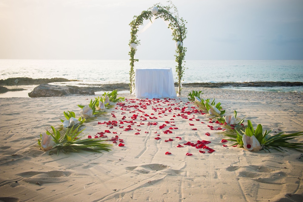 Outdoor wedding area