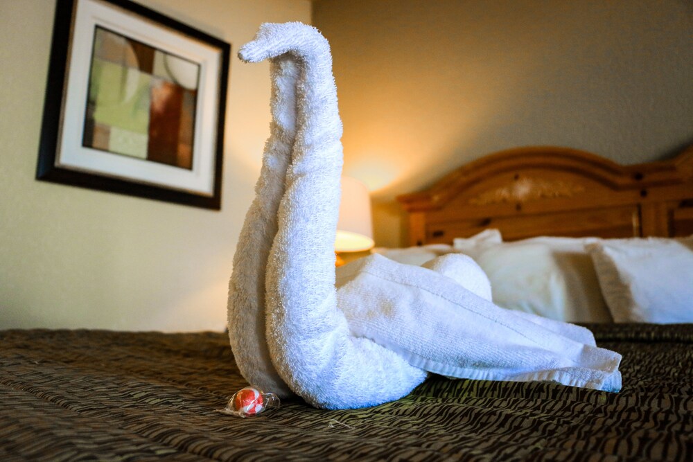 Suite Dreams Hotel - photo 28