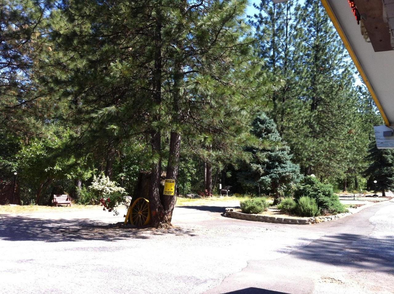 Golden Chain Motel - photo 15