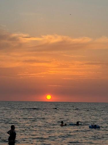 Stanza relax con uscita sulla spiaggia — hotel in Focene