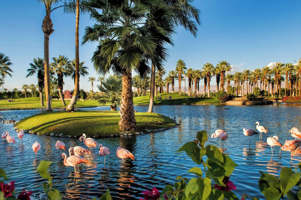 JW Marriott Desert Springs Resort & Spa - photo 194