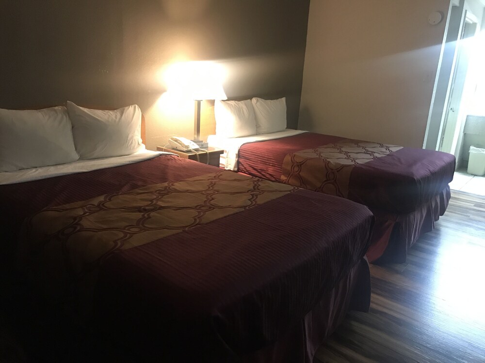 Bear Mount Inn & Suites - photo 21