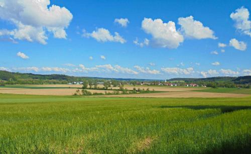 Ferienwohnung im Barockwinkel — Aspach — photo 5