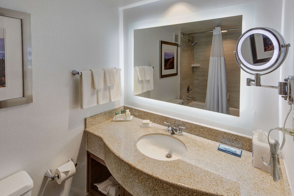 Hilton Knoxville Airport - photo 21