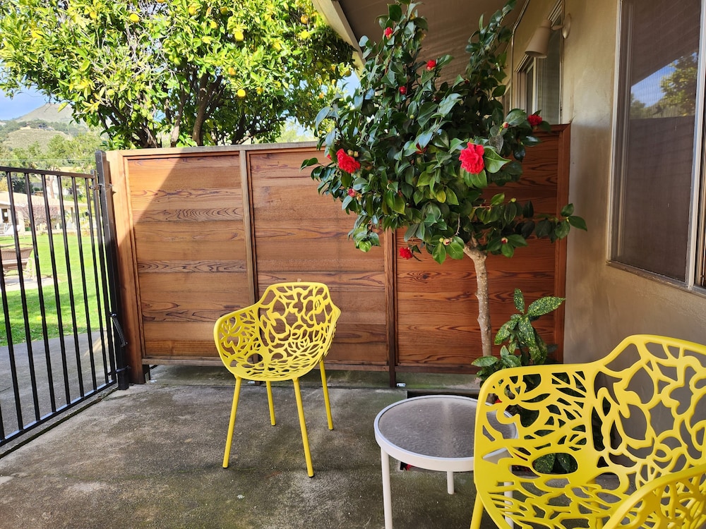 Contenta Inn - photo 24