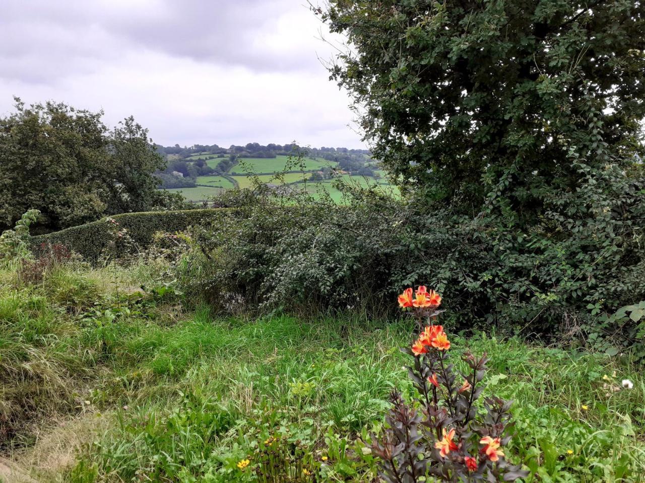 Studio Prive Aux Portes Des Fagnes in Theux, Belgium