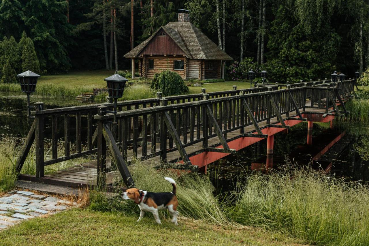 Log Cabin — 4-Star Luxury Hotel in Kuldiga, Latvia