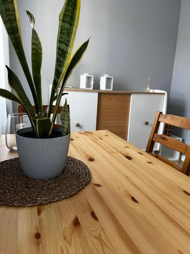 Apartament Ekonomiczny — 4-Star Luxury Hotel in Gdansk, Poland