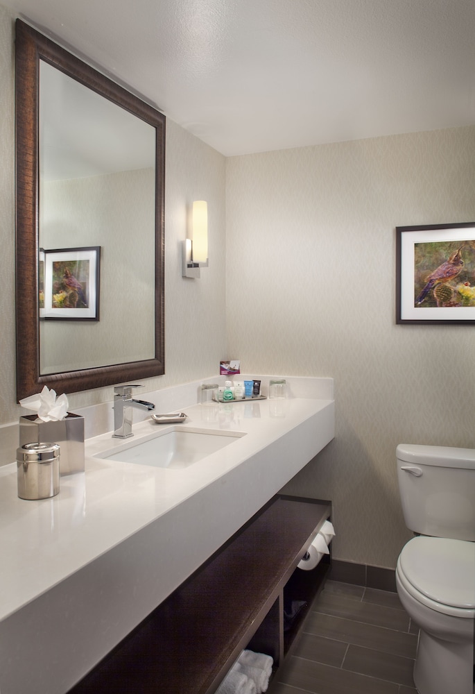 Crowne Plaza Phoenix Airport PHX by IHG - photo 28
