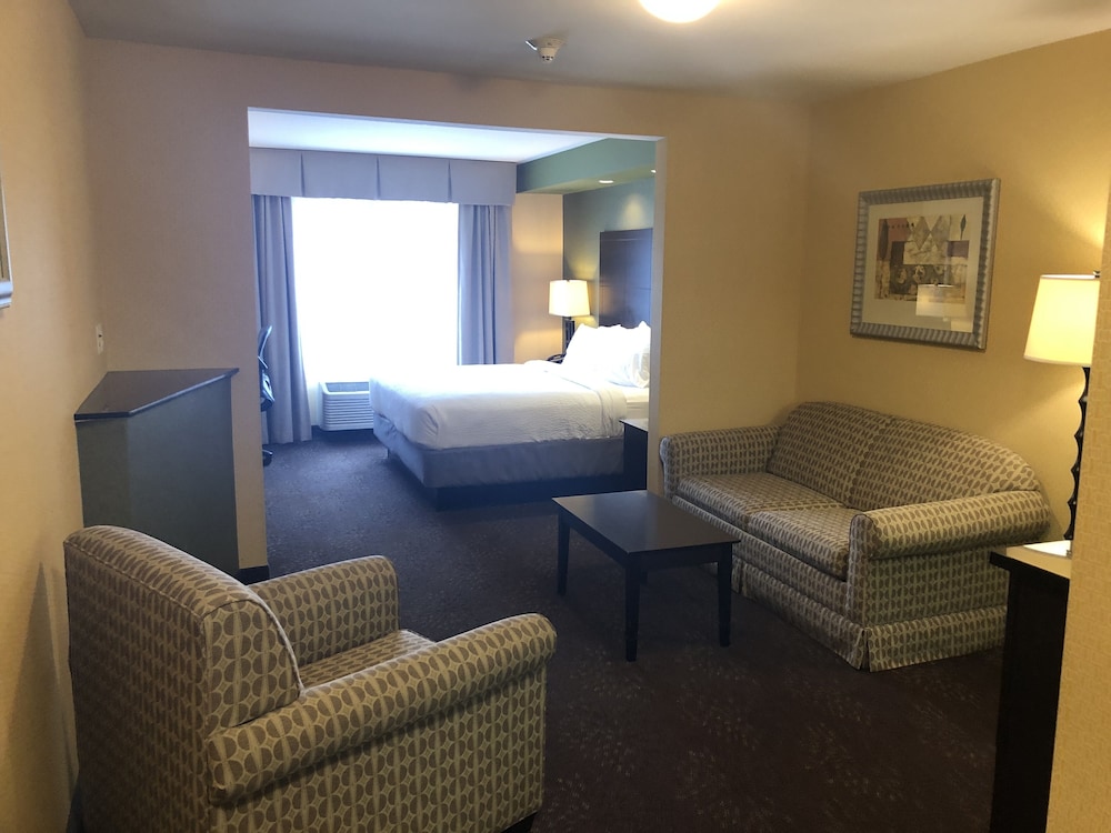 Holiday Inn Express Hotel & Suites Lansing Dimondale by IHG - photo 13