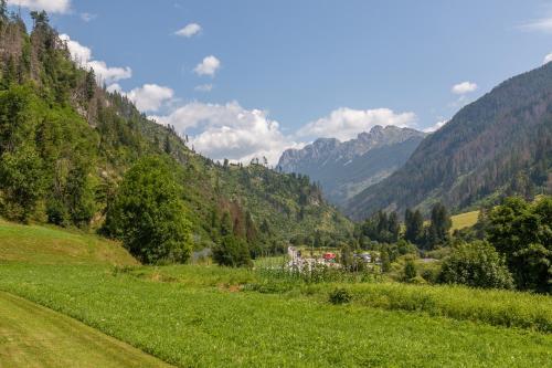 Alpinia — Moena — photo 2