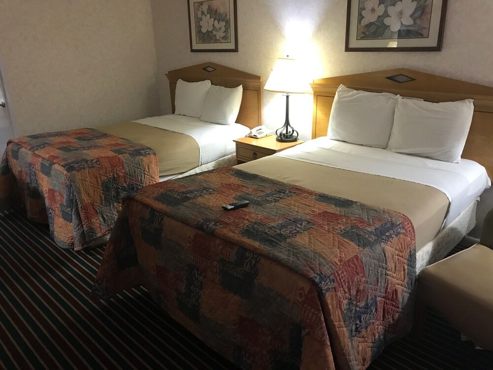 Budget Inn Timmonsville - photo 9