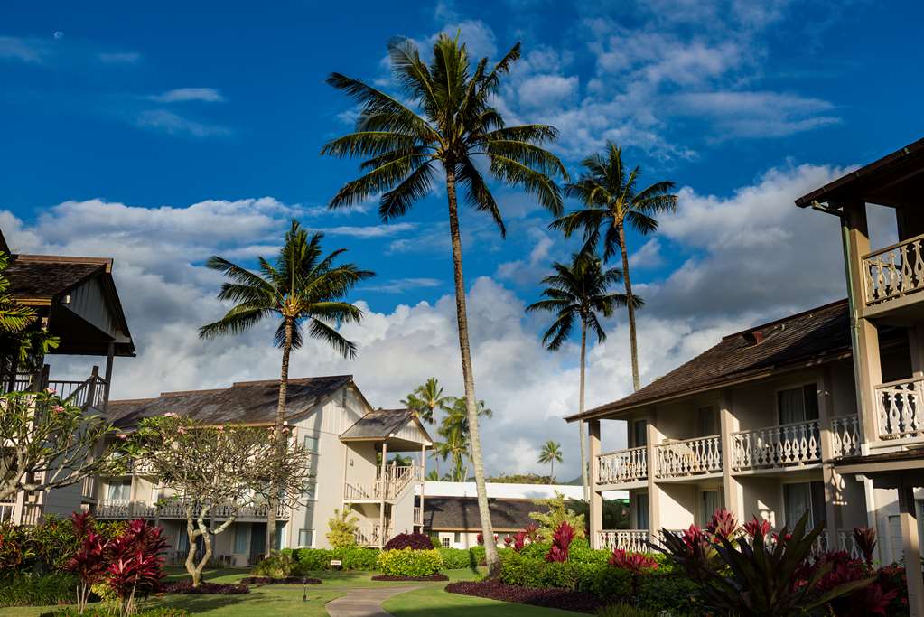 Aston Islander on the Beach - photo 94