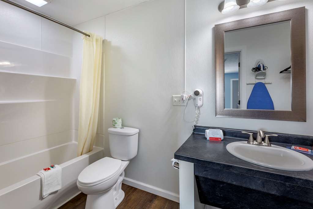Econo Lodge Inn & Suites Sandusky South - photo 7