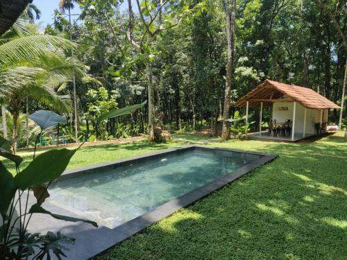 Pool Villa The Humming Trees Pala — 4-Star Luxury Hotel in Lalam, India