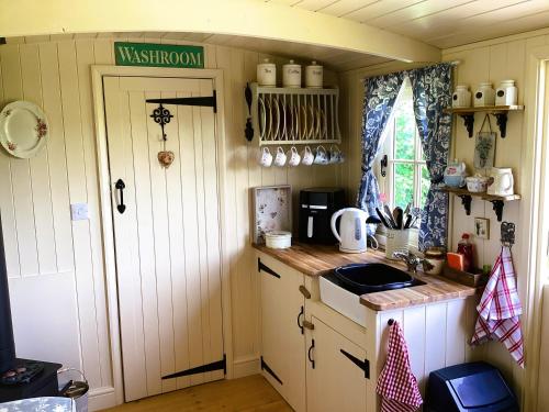 Lilly’s Pad — Bude — photo 3