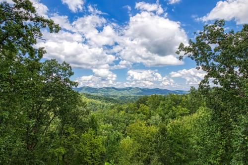 Tree Tops Hot Tub Pool table WIFI 560 FREE tickets each paid day - photo 12