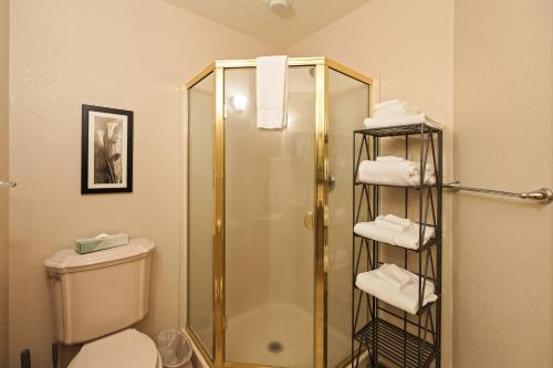 9 Hoodoo - photo 12