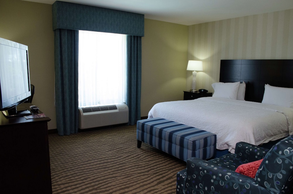 Hampton Inn Thomson - photo 12