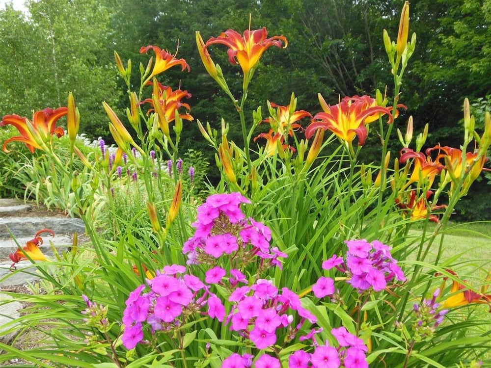 Coppertoppe Inn and Retreat Center - photo 47