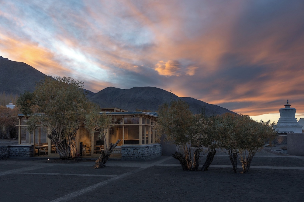 The Postcard in The Himalayan Willows - last minute hotel in Leh