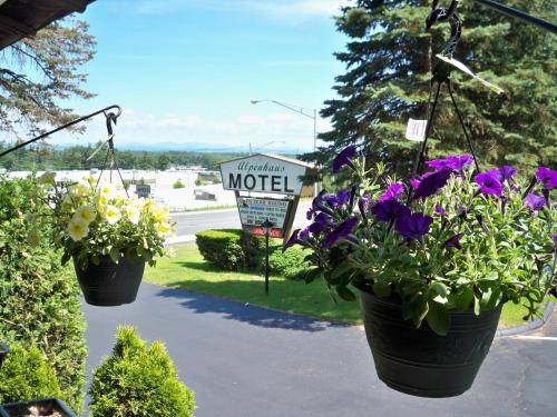 Alpenhause Motel Queensbury - photo 4