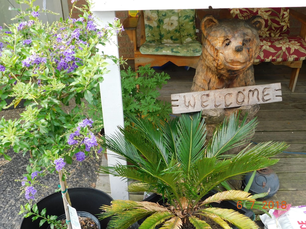 Little Shamrock Motel - photo 45