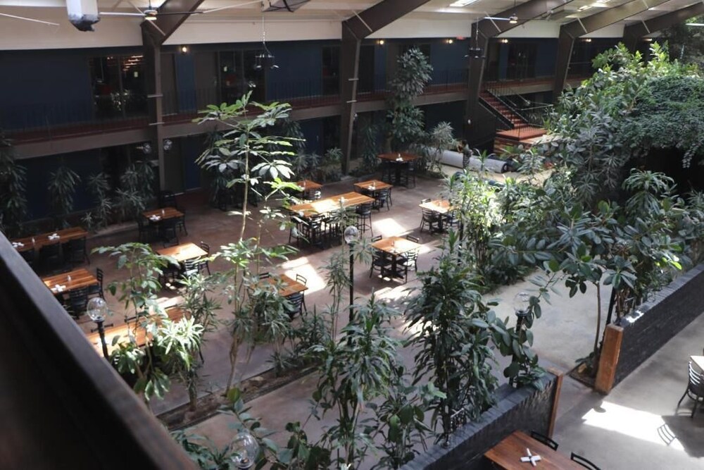 Historic Cow Palace Inn - photo 16