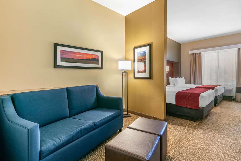 Comfort Suites Forrest City - photo 27