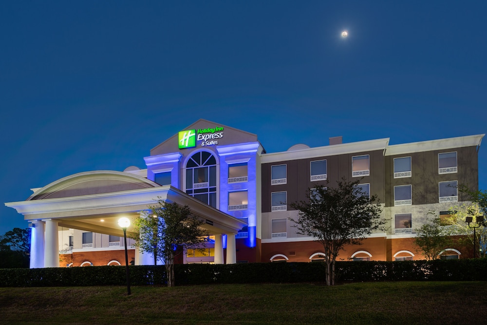 Holiday Inn Express Hotel & Suites Tampa Fairgrounds Casino by IHG - photo 55