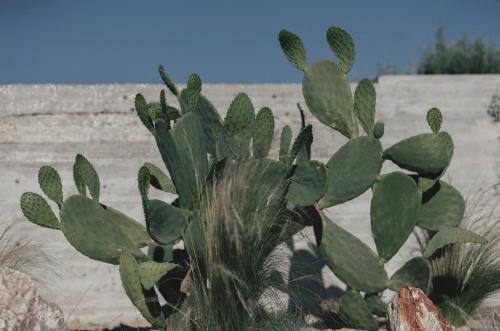 Inspiration House — Souda — photo 3