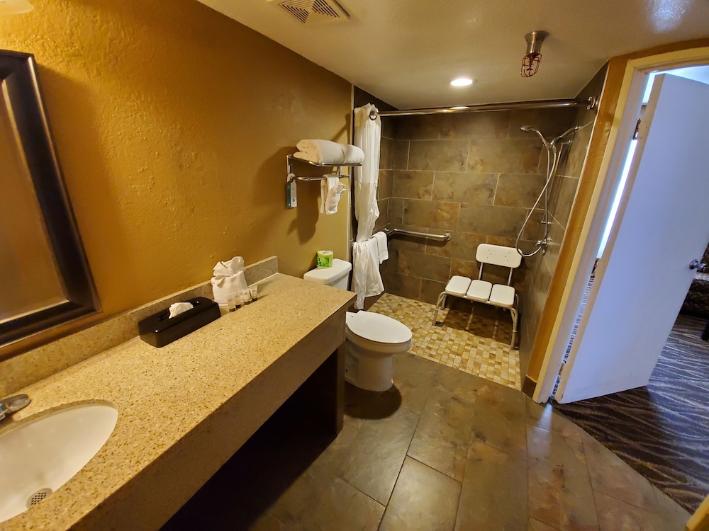 Hotel d Lins Ontario Airport - photo 15