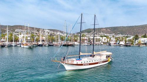 Lıfe ıs lıfe - carbon neutral hotel in Bodrum