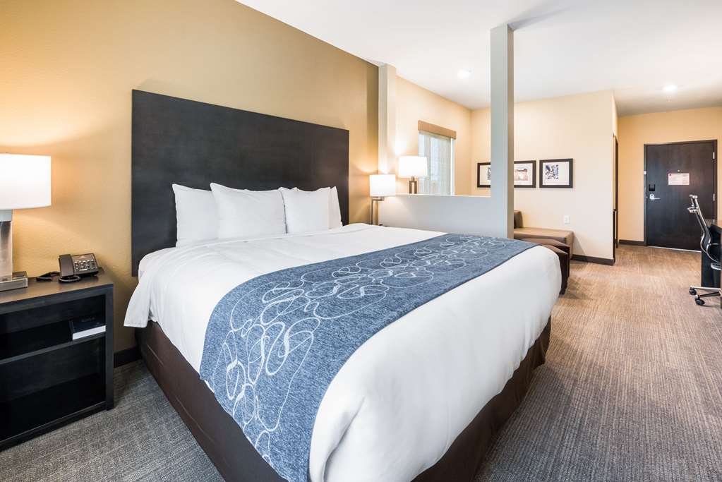 Comfort Suites Marysville Columbus Northwest - photo 34