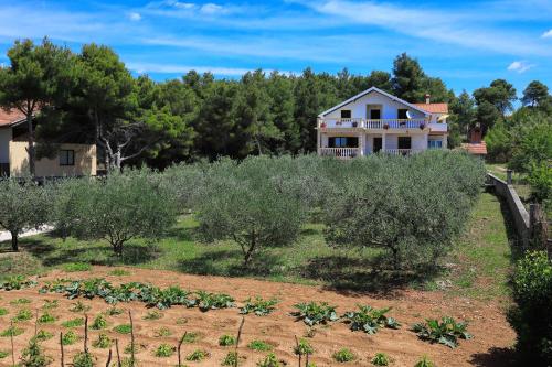 Apartmani Bruno — Bibinje — photo 2
