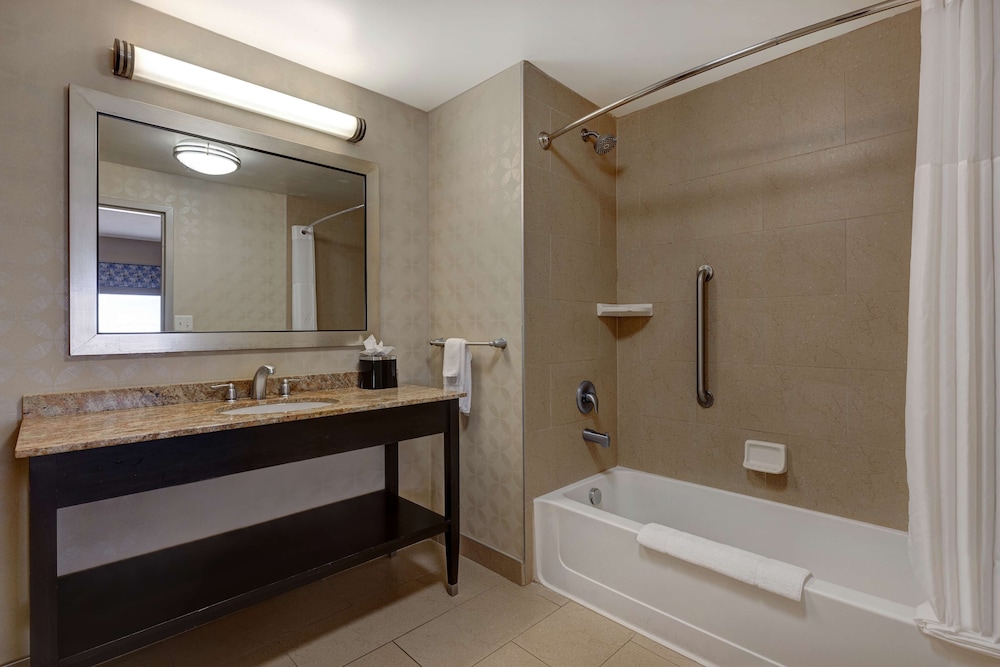 Hampton Inn & Suites Tampa Northwest Oldsmar - photo 20