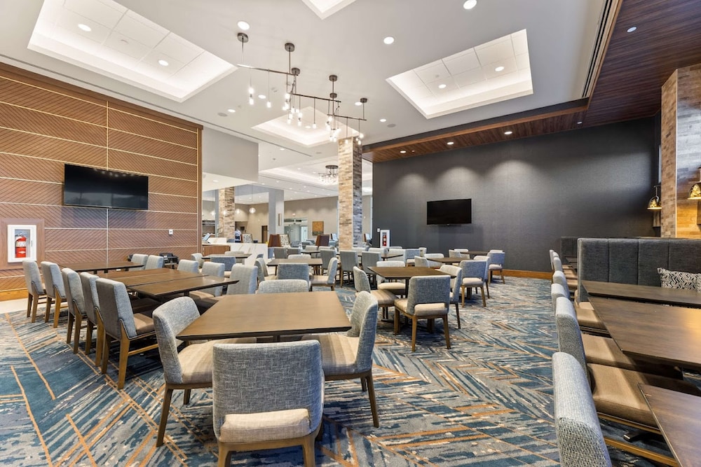 Embassy Suites by Hilton Irving Las Colinas - photo 36