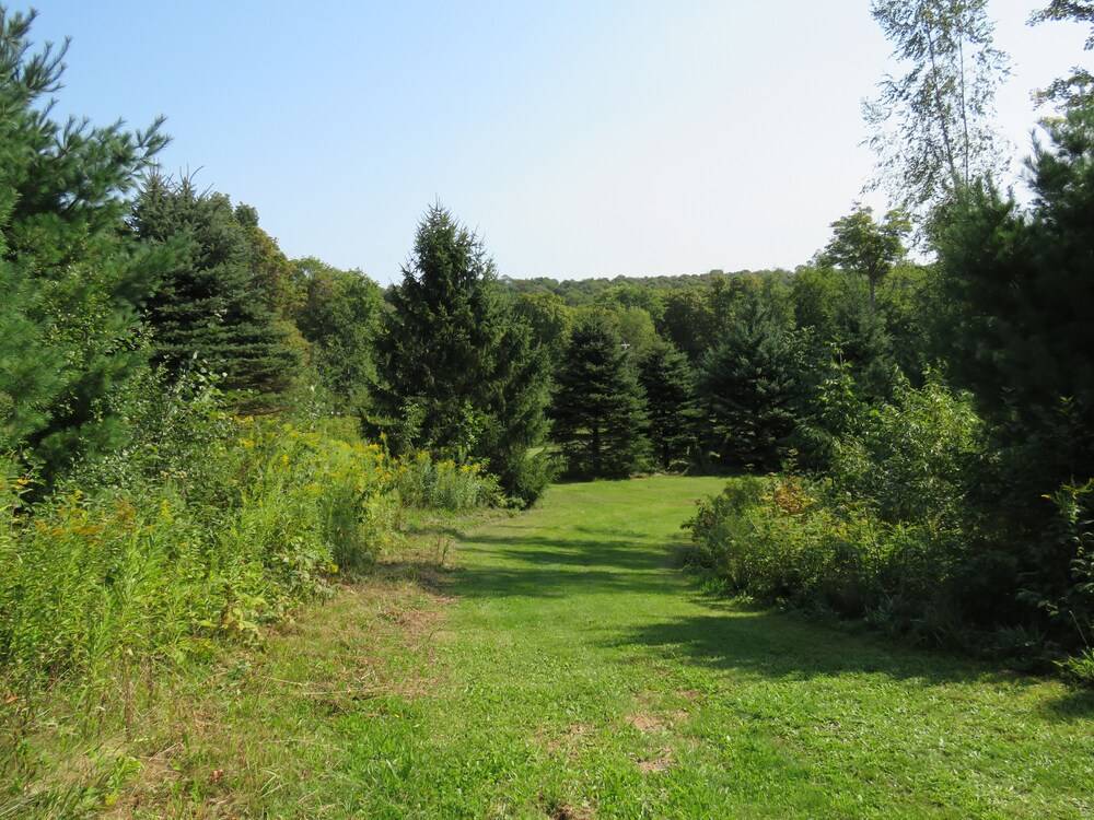Tug Hill Resort - photo 47