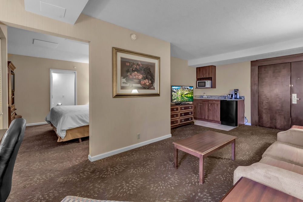 Buffalo Airport Hotel - photo 45