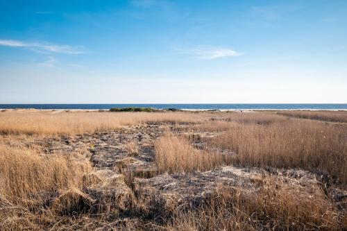 Ocean Wind by Oak Island Accommodations - photo 21
