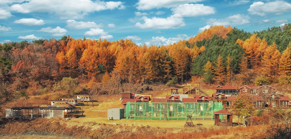 Nature and Healing — hotel in Hongch'on
